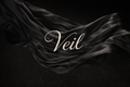 Veil Gift Card